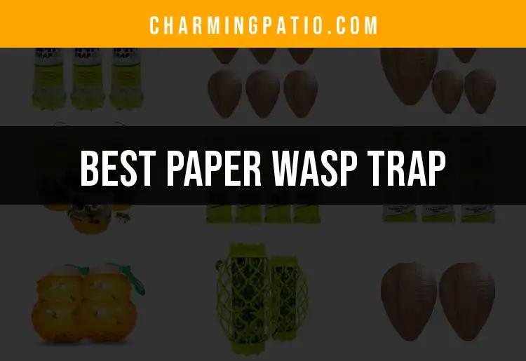 13 Best Paper Wasp Traps for a Buzz-Free Yard
