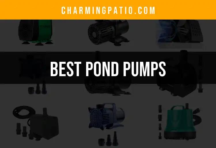11 Best Pond Pumps for a Flourishing Water Feature
