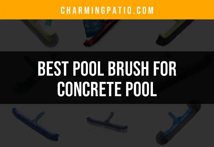 14 Best Pool Brushes for Your Concrete Pool Care