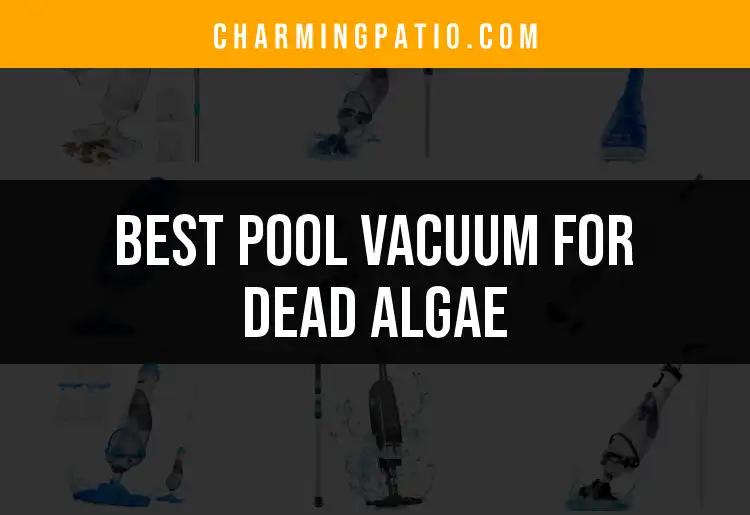 13 Best Pool Vacuums for Dead Algae You Can Trust