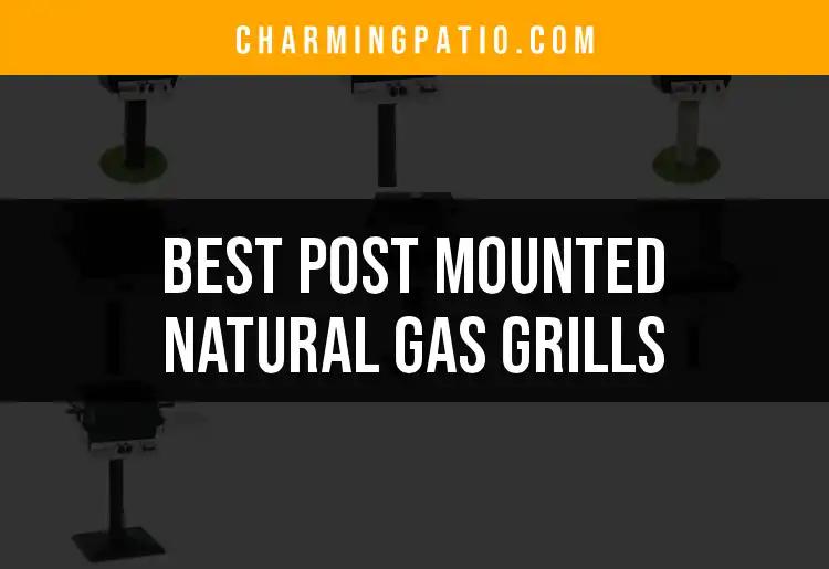 14 Best Post Mounted Natural Gas Grills for Effortless Cooking