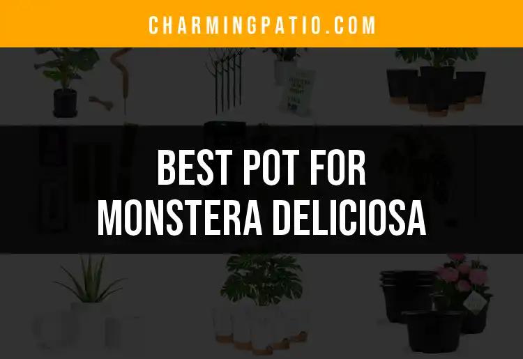 13 Best Pots For Monstera Deliciosa To Elevate Your Space