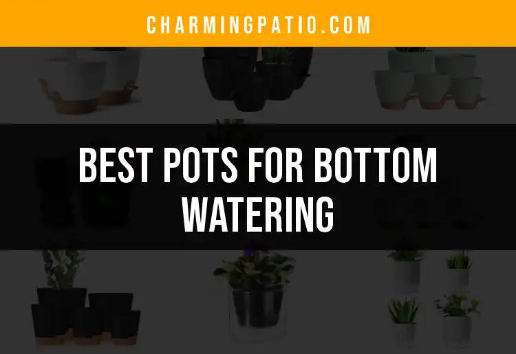 13 Best Pots for Bottom Watering That Every Gardener Needs