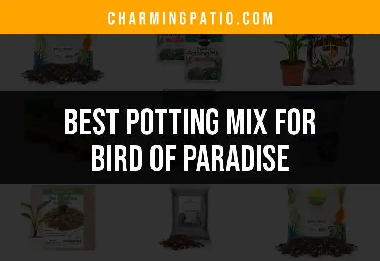 16 Best Potting Mixes for Vibrant Bird of Paradise Growth