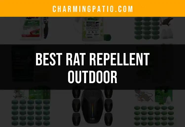 16 Best Rat Repellent Outdoor Solutions for Your Garden