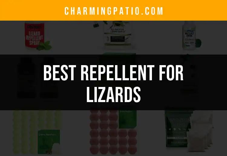 16 Best Repellents for Lizards to Keep Your Space Safe