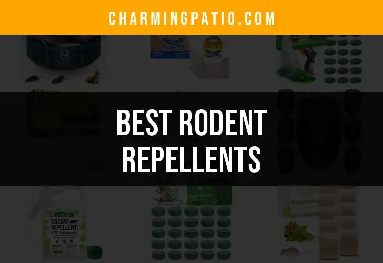 17 Best Rodent Repellents for a Pest-Free Garden