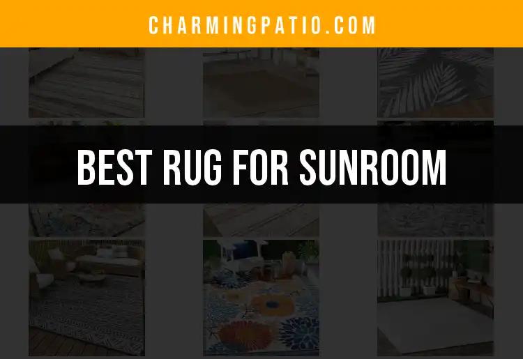 11 Best Rugs for Sunroom Spaces You’ll Love