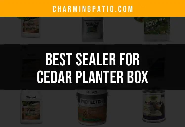 11 Best Sealers For Cedar Planter Box Protection