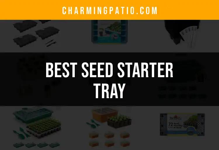 11 Best Seed Starter Trays for Thriving Gardens
