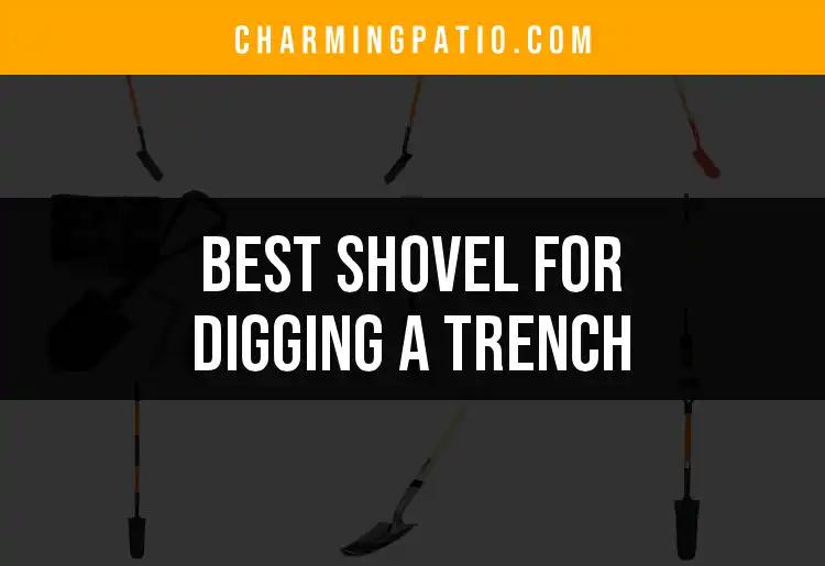14 Best Shovels for Digging a Trench Efficiently
