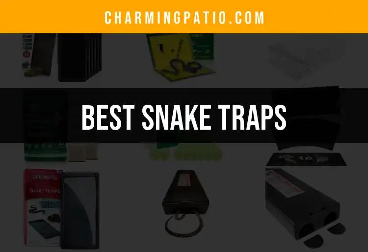 15 Best Snake Traps for Your Peace of Mind