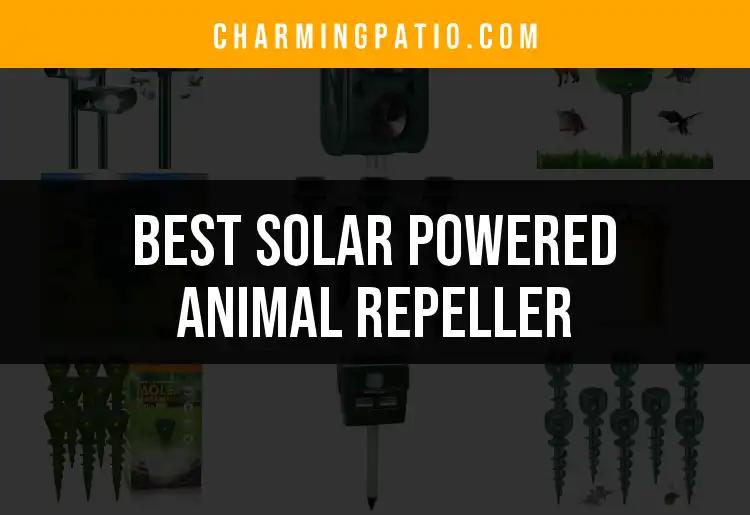 19 Best Solar Powered Animal Repellers for Your Garden