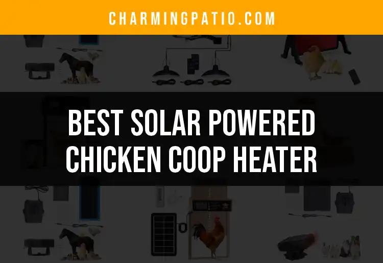 15 Best Solar Powered Chicken Coop Heaters for Cozy Hens