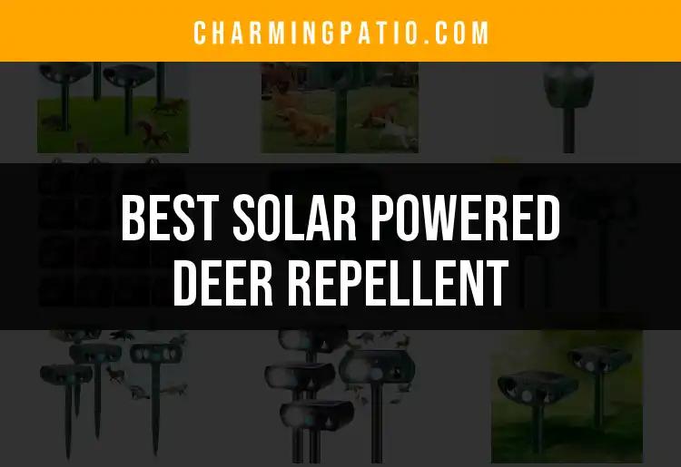 14 Best Solar Powered Deer Repellents for Your Garden