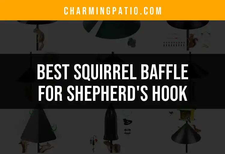 11 Best Squirrel Baffles for Your Shepherd's Hook