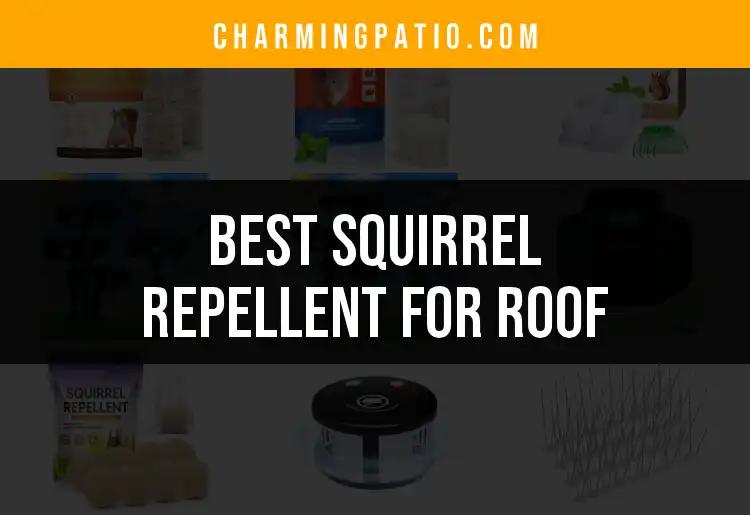 16 Best Squirrel Repellent for Roof Solutions Revealed