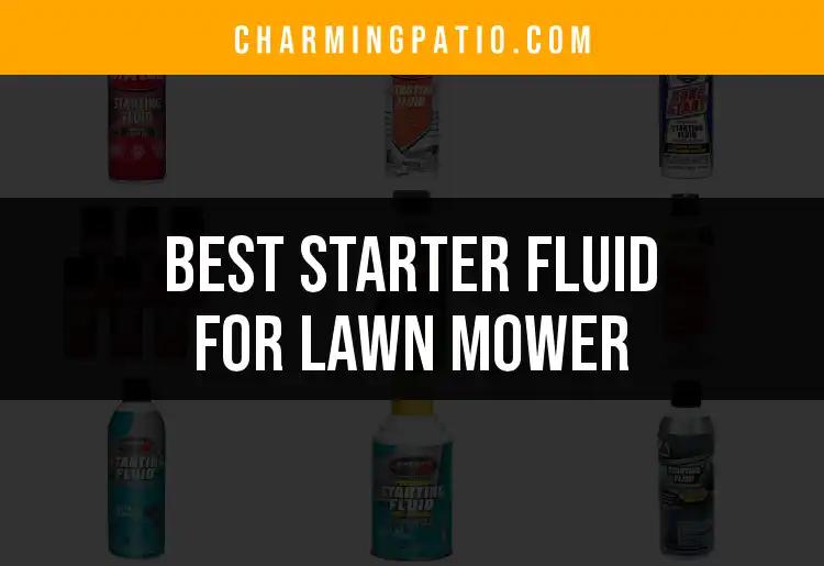 16 Best Starter Fluids for Your Lawn Mower Needs