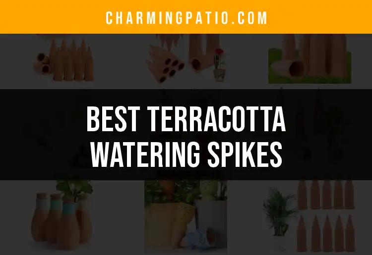 11 Best Terracotta Watering Spikes for Effortless Gardening
