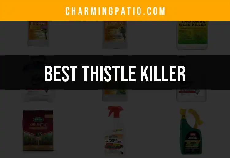 16 Best Thistle Killer Products for a Garden Revival