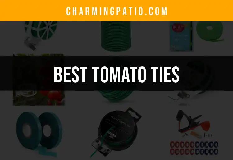 13 Best Tomato Ties for Your Garden's Support Needs