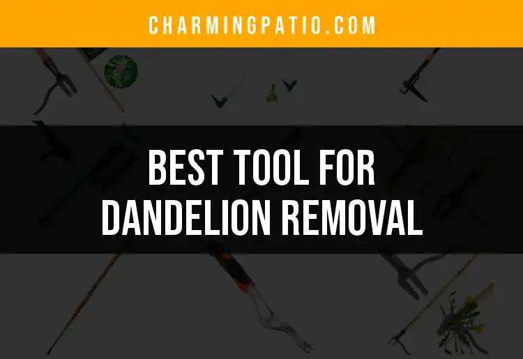12 Best Tools for Dandelion Removal Made Easy