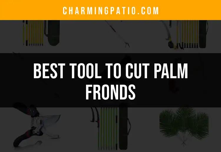 9 Best Tools To Cut Palm Fronds Efficiently