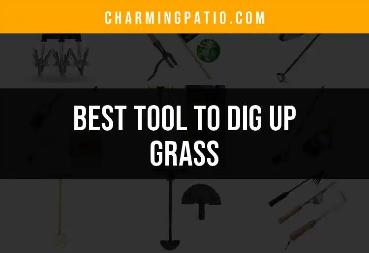 15 Best Tools to Dig Up Grass for Your Perfect Yard