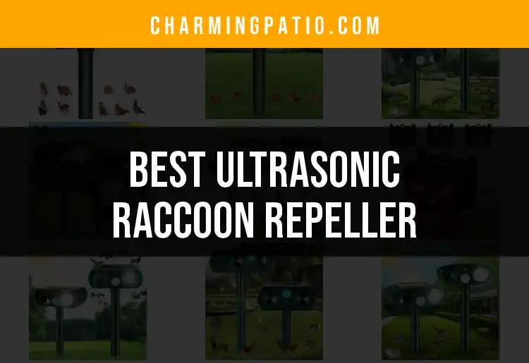 14 Best Ultrasonic Raccoon Repellers for Your Garden