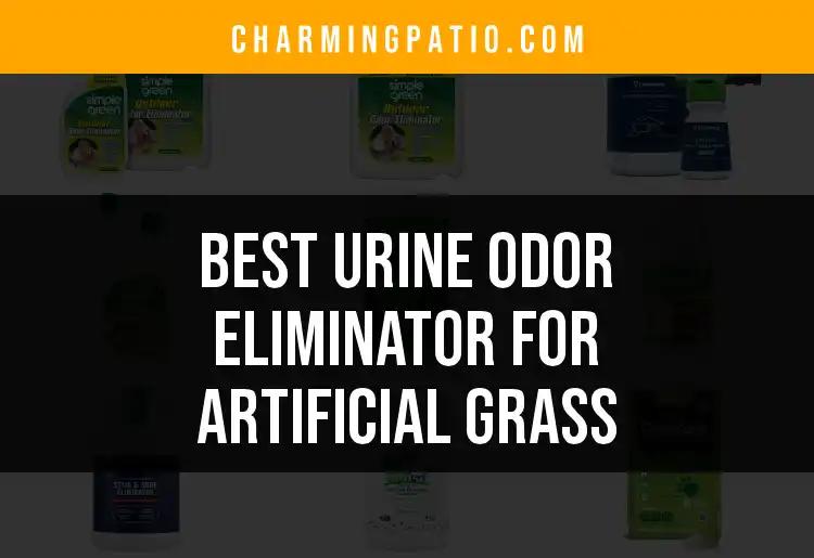 12 Best Urine Odor Eliminators for Artificial Grass