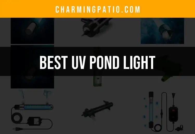 10 Best UV Pond Lights for Crystal Clear Water