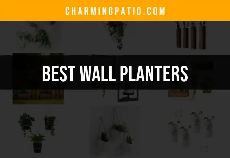 10 Best Wall Planters To Elevate Your Garden Aesthetics