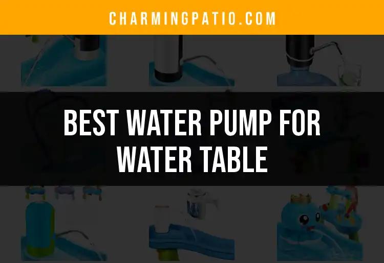 16 Best Water Pumps for Your Water Table Made Easy