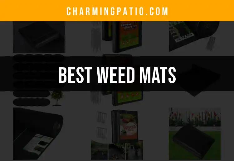 13 Best Weed Mats for a Lush, Weed-Free Garden