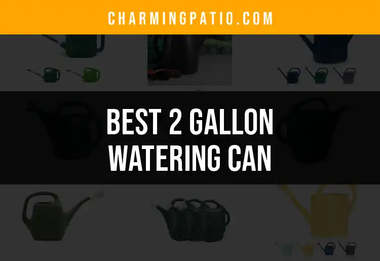 11 Best 2 Gallon Watering Cans for Your Garden Needs