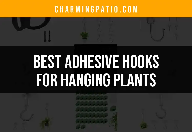 13 Best Adhesive Hooks for Hanging Plants You Need to Try