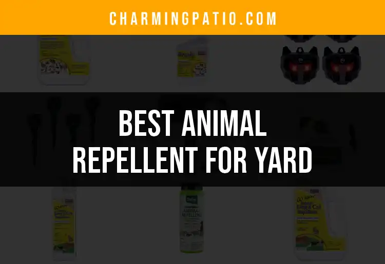 18 Best Animal Repellents for a Pest-Free Yard