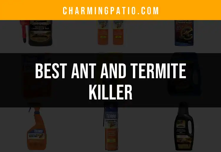 16 Best Ant and Termite Killers for a Pest-Free Home