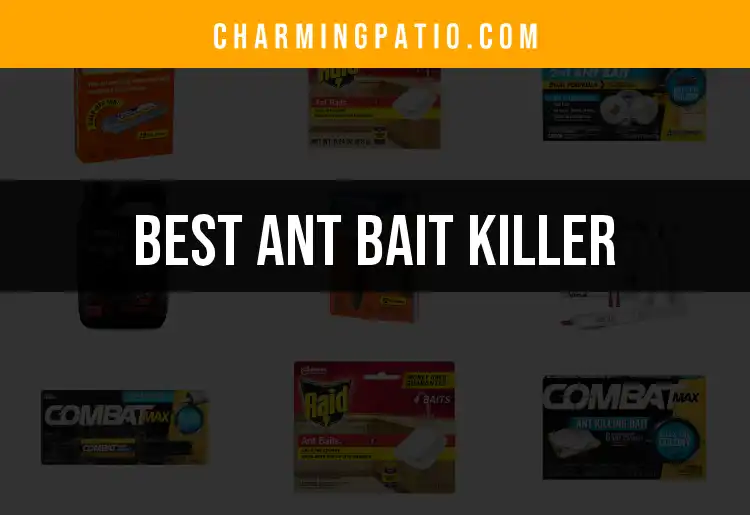 18 Best Ant Bait Killers for a Pest-Free Home