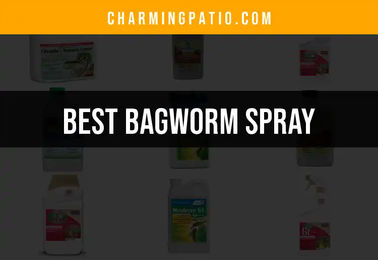 When To Spray For Bagworms