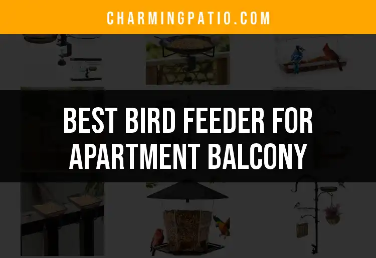 12 Best Bird Feeders for Your Apartment Balcony
