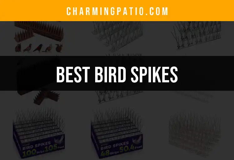 Top 10 Bird Spikes for a Peaceful Patio featured