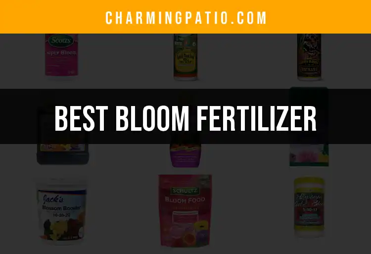 13 Bloom Fertilizers That Will Transform Your Garden