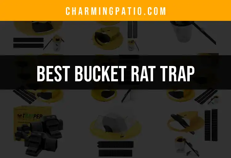16 Best Bucket Rat Traps for Quick Rodent Control featured
