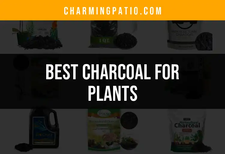 11 Amazing Uses of Charcoal for Plants