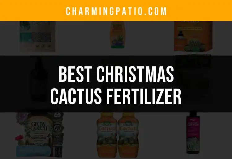 11 Best Christmas Cactus Fertilizers for Thriving Blooms