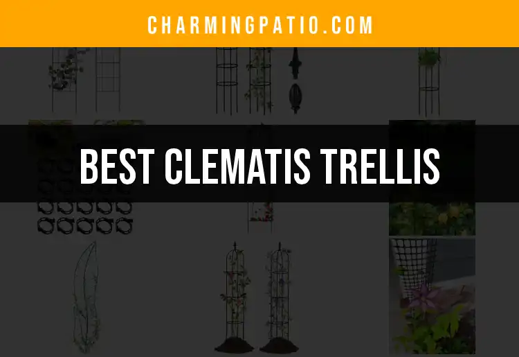 12 Best Clematis Trellises for Your Garden Oasis