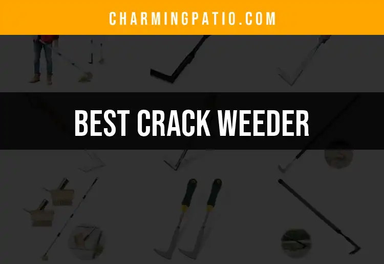 13 Best Crack Weeders for Effortless Yard Maintenance