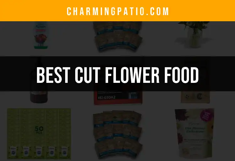 Top 10 Cut Flower Foods for Vibrant, Lasting Bouquets