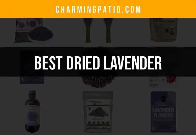 11 Dried Lavender Picks for a Fragrant Home Garden